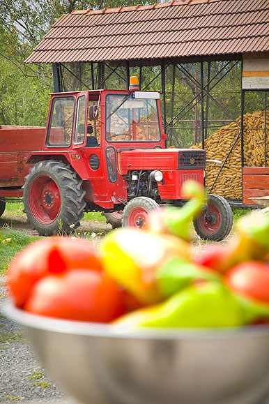 locally produced food