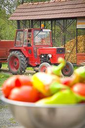 locally produced food