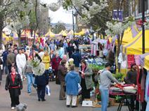 Local loyalty cards can help push town centres as the independent alternative