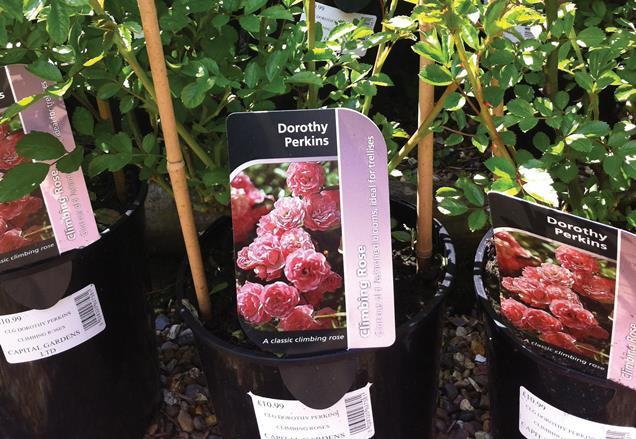 site de rencontre afrointroduction