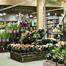 Dobbies Garden World, Aberdeen