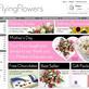Flying Brands suffered a fall in sales over Christmas from £4.47m to £3.29m