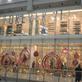 Forever 21 to downsize first UK store
